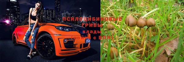 шишки Алексеевка