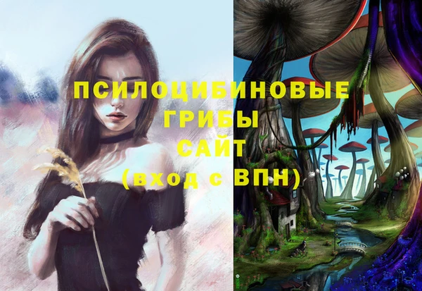 шишки Алексеевка