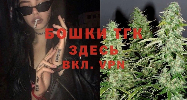 МДПВ Алексин