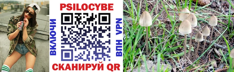 Галлюциногенные грибы ЛСД где продают наркотики мега сайт Куртамыш