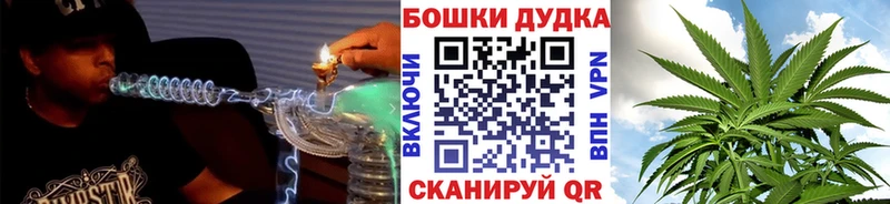 OMG   Куртамыш  Шишки марихуана сатива 